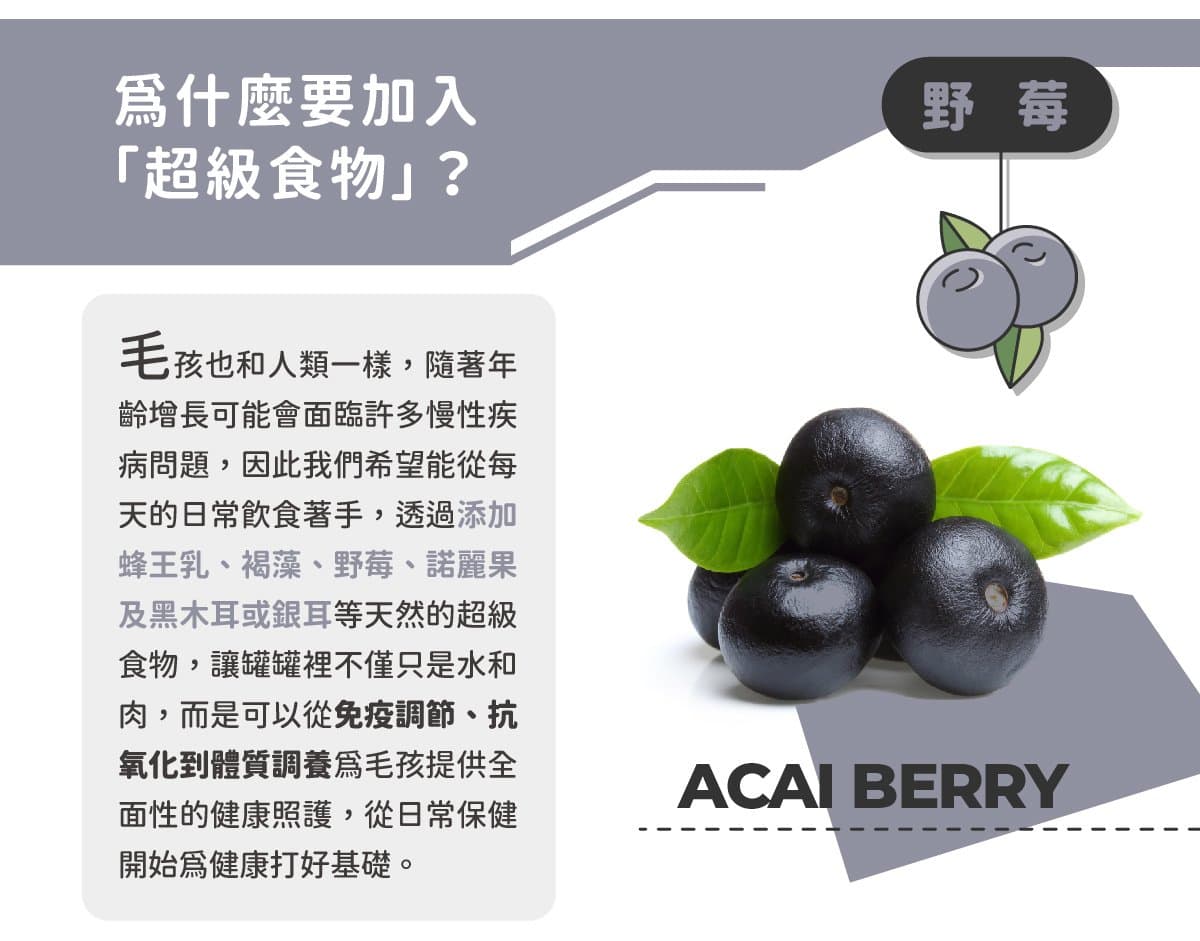 gallery_image-E3JCVFcU