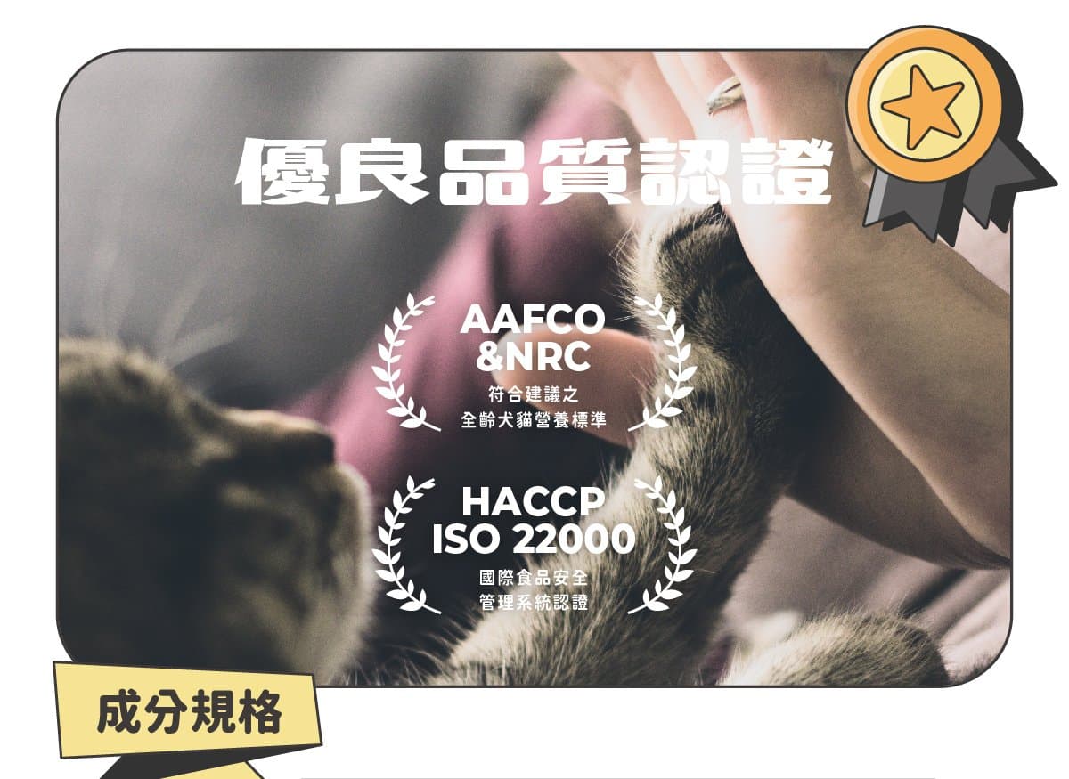 gallery_image-KTIYMg3m